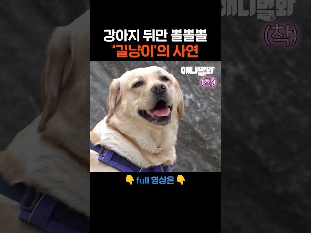 세상 무해한 조합???? #애니멀봐 #shorts