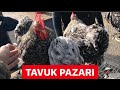 TAVUK PAZARI ÇEŞİT ÇEŞİT TAVUKLAR HOROZLAR HİNDİLER KAZLAR ÖRDEKLER BILDIRCINLAR