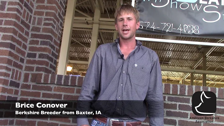 Selection of Boars and Gilts