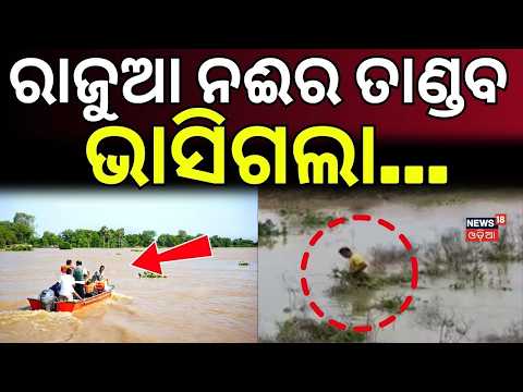 ରାଜୁଆ ନଈର ତାଣ୍ଡବ...Rajua River Flood | Kanas Flood Update | Massive Crop Loss in Kanas | Puri News