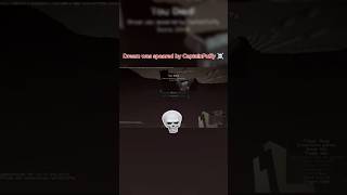Dream got killed by CaptainPuffy ☠️