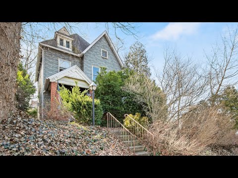29 Parke St, Pittsburgh, PA home video tour