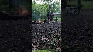 Quick Campsite Timelapse From the Allegheny National Forest Near Kane, PA Last Summer #camping #dogs