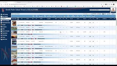 Customizing Display in Navica
