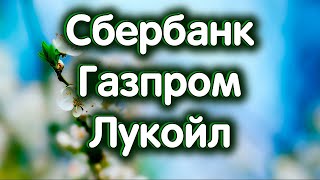 Сбербанк, Лукойл, Газпром. Индекс МосБиржи. Обзор 04.06.2024