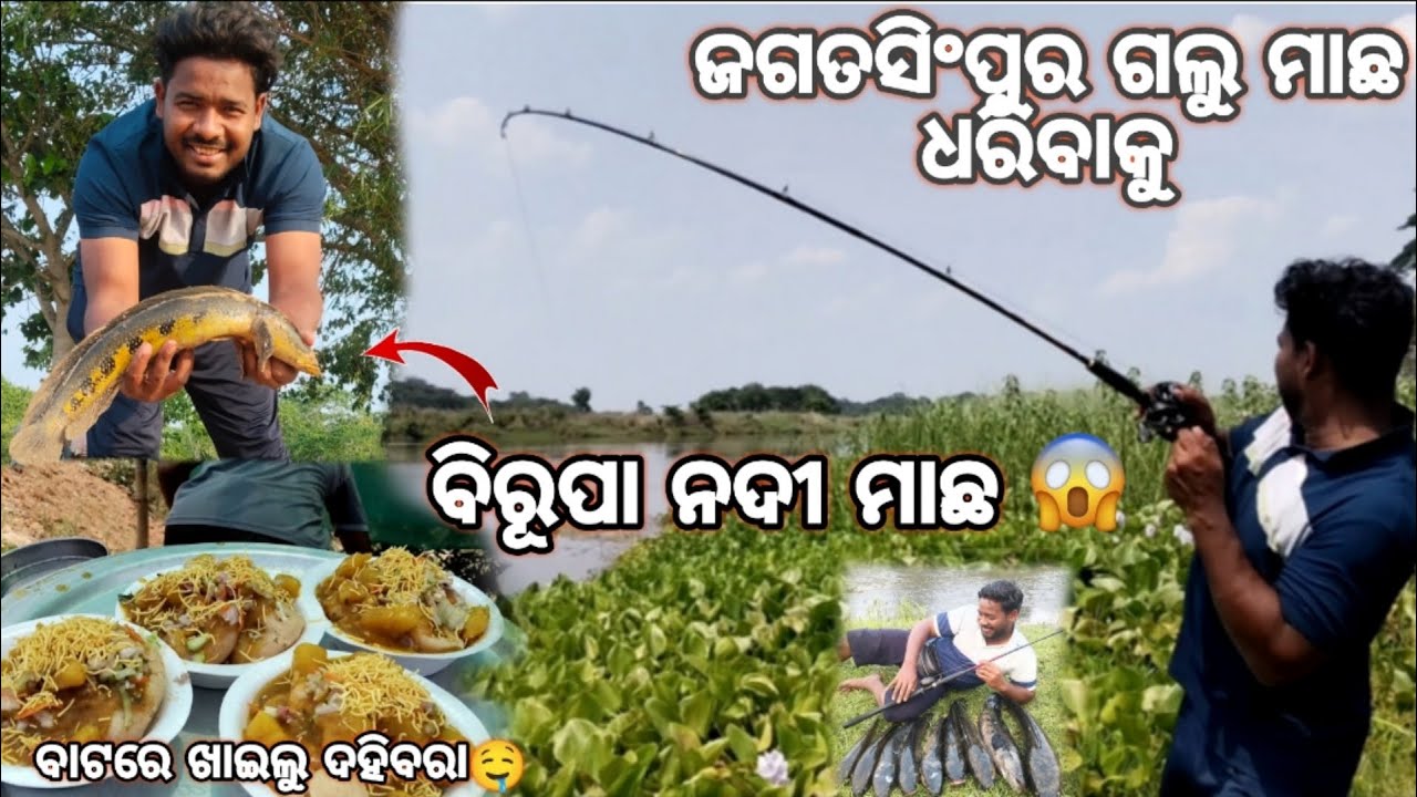 ଜଗତସିଂପୁର😱ଗଲୁ ମାଛ 🐟 ଧରିବାକୁ 🎣😰!! ବିରୂପା ନଦୀରୁ ଧରିଲୁ ମାଛ🐟🎣#odishafishing