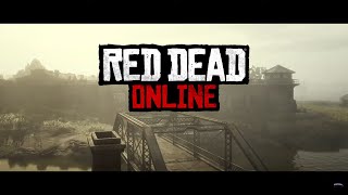 Red Dead Redemption 2 online  #1