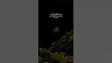 وعباد الرحمن الذين يمشون على الأرض هونا القارئ:#ناصر_القطامي #قرآن #راحة_نفسية #اكسبلور