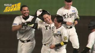 値下げ交渉ＯＫ  6/13（木）阪神vsオリックス　3連番 6/13(木)阪神vsオリックス 京セラドーム大阪上段外野指定席