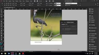 13 3 Printing Proof & Ink Manager