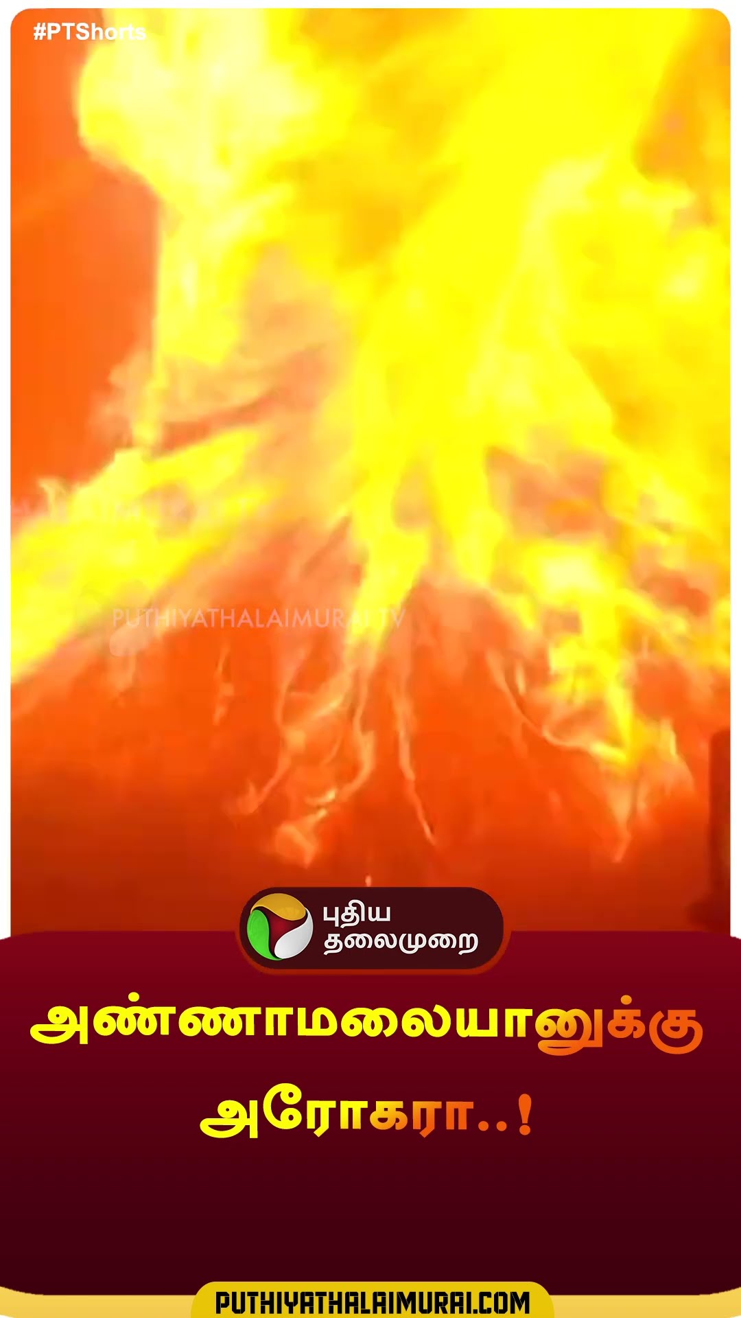 அண்ணாமலையானுக்கு அரோகரா..! #shorts | #Tiruvannamalai | #Tiruvannamalaideepam