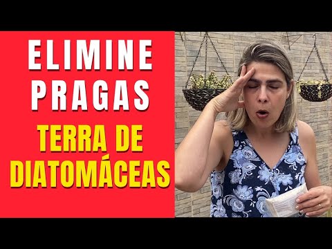 Vídeo: O que é terra diatomácea usada para piscina?