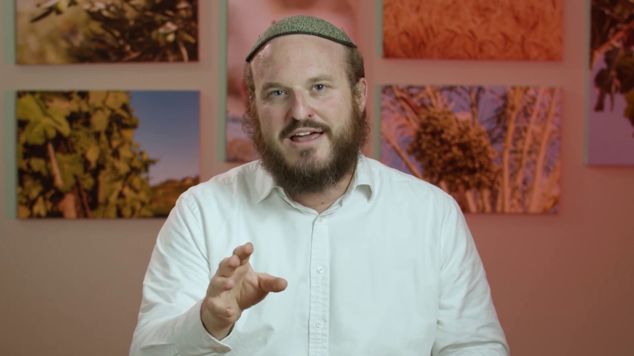 Vayechi - Eyes of Honor - Rabbi Shlomo Katz