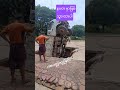 နပတ မှာဖြစ်သွားတာ မြေကျွံပြီးကားပါကျ #truck #driver #entertainment #truckdriver