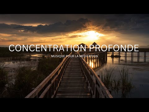 Musique relaxante Méditation zen Vidéo nature d'une heure | Suricatcom