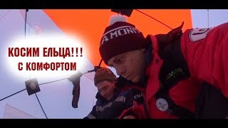 Первый лёд 2018, отличный клёв.