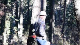 Topping Out Tamarack