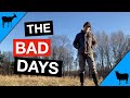 The Bad Days On A Goat &amp; Sheep Farm