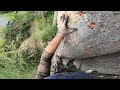 Dropping Logs