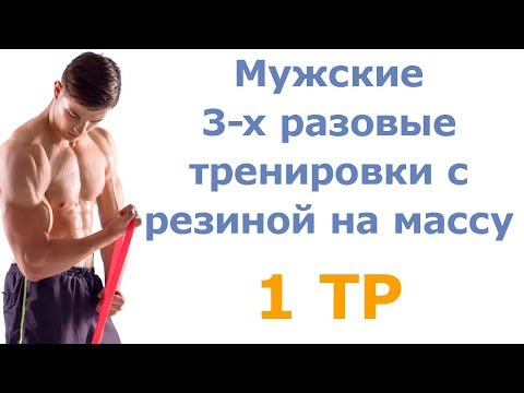 Мужские 3-х разовые тренировки с резиной на массу (1 тр)