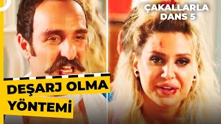 Necmi Ve Tavşanının Tuvalet Yarışı Çakallarla Dans 5