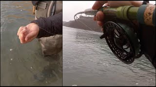 Niagara River Float Fishing | The Only Bait You'll Ever Need