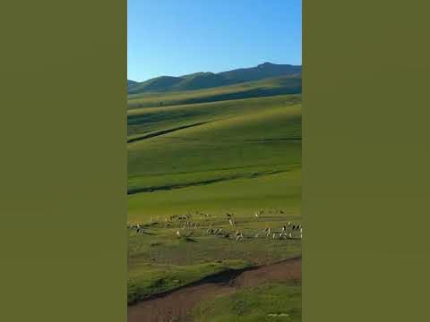 Асы жайлауы - YouTube