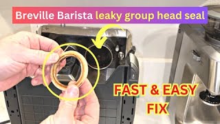 Breville Barista Leaky Group Head Seal Replacement Fast & Easy Fix Espresso Machine | 54mm by Paul Longer 7,680 views 5 months ago 4 minutes, 2 seconds