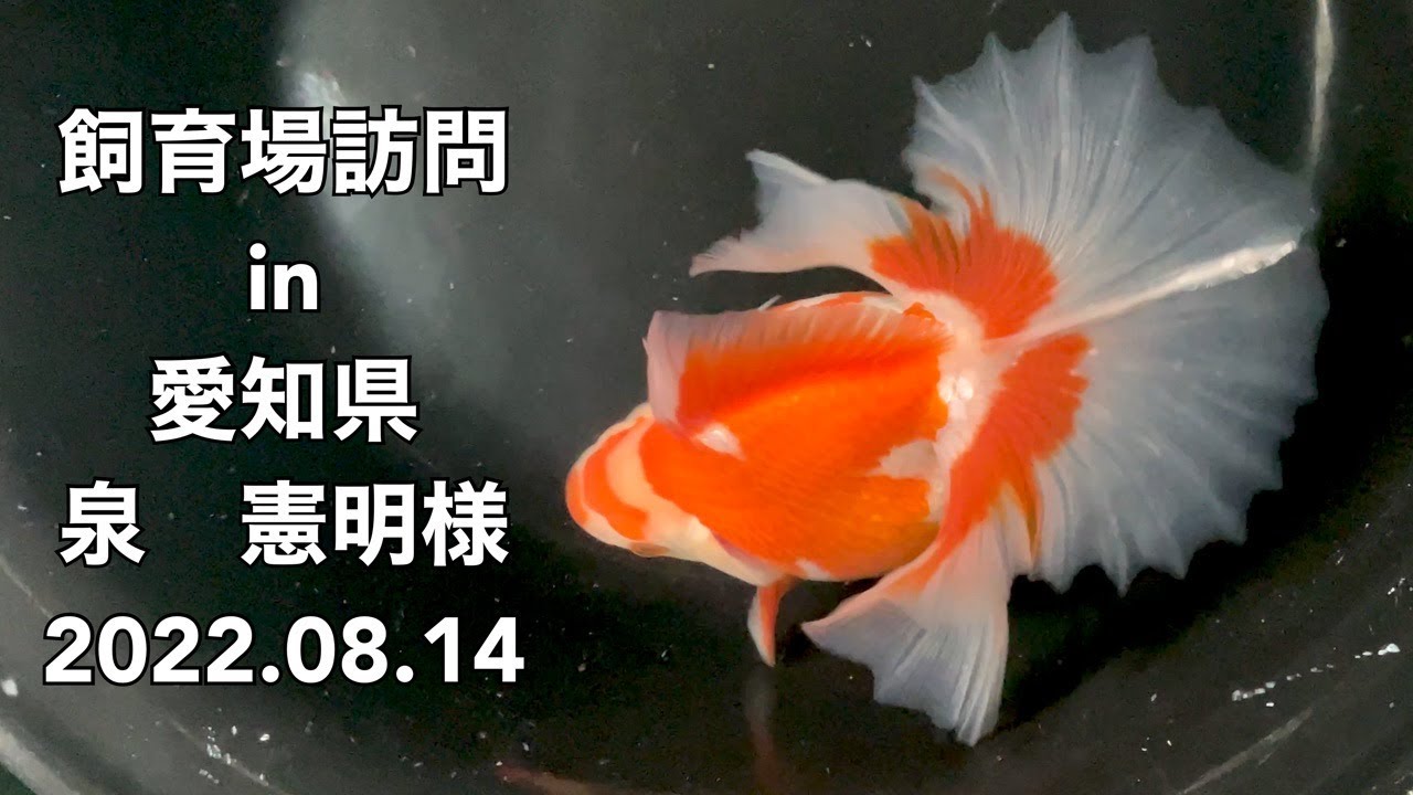 2022.08.14飼育場訪問in愛知県・泉 憲明様