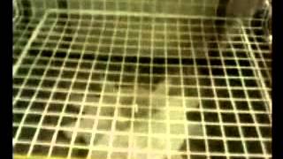 Pro Pack Group - One Step Shrink Wrap Systems: Nexgen
