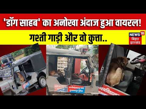 POLICE PATROLLING: पुलिस की गश्ती गाड़ी में कुत्ते की सवारी! 'डॉग साहब' का अनोखा अंदाज हुआ वायरल!