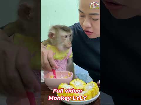 Best Pranks - Watch Till the End!