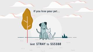 Send a text, find your pet!