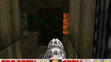 DOOMCOOP2.WAD using BrutalDoom, E2M5
