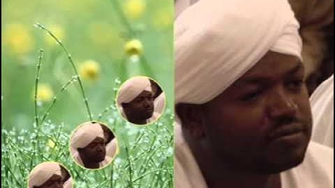 سورة الطور القارئ نورين صديق رواية الدوري عن ابي عمرو