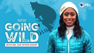Ep2: Tracking Lemurs in a Lost Rainforest | Going Wild with Dr. Rae Wynn-Grant