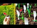 10 Genius Gardening Hacks For Ultimate Success Must Try Tips For Every Gardener 