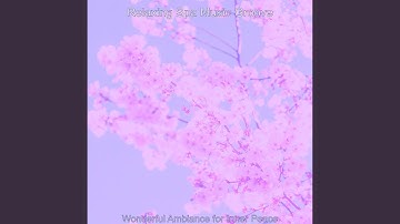 Excellent Koto and Strings - Vibe for Self Care