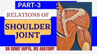SHOULDER JOINT : Relations