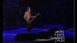 Download Lagu RHCP - Pea Live MP3