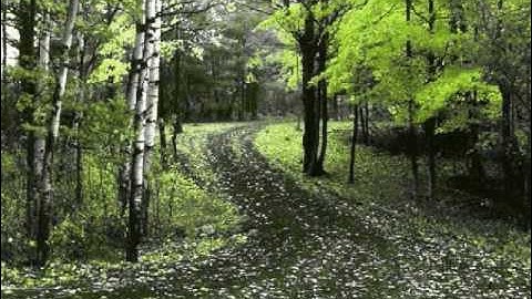 4 Strings- Obstacles