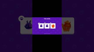 I got cosmic nebula 🌌🔮 | Pk xd pet trading 219 | #pkxd #pkxdgame #pkxduniverse #pkxdpet