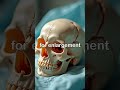 The Anatomy of the Skull