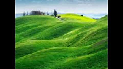 مقطع من سورة القلم القارئ:عيسى العصار