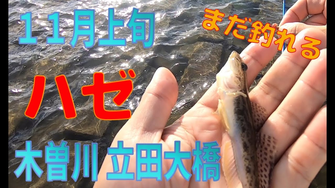 ロイヤリティフリー 立田大橋 釣り 人気のある画像を投稿する