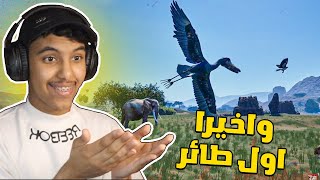 انيمليا سيرفايفل #15 : واخيرا اول طائر فالعبة ! | Animalia Survival