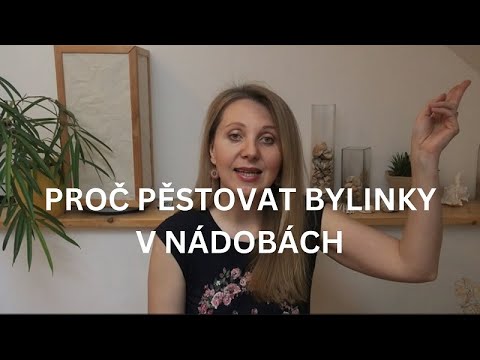 Proč Pěstovat Bylinky V Nádobách - Výhody A Nevýhody