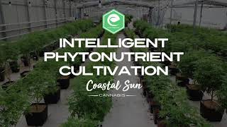 Coastal Sun Cannabis - Healthy Plants Heal Humans