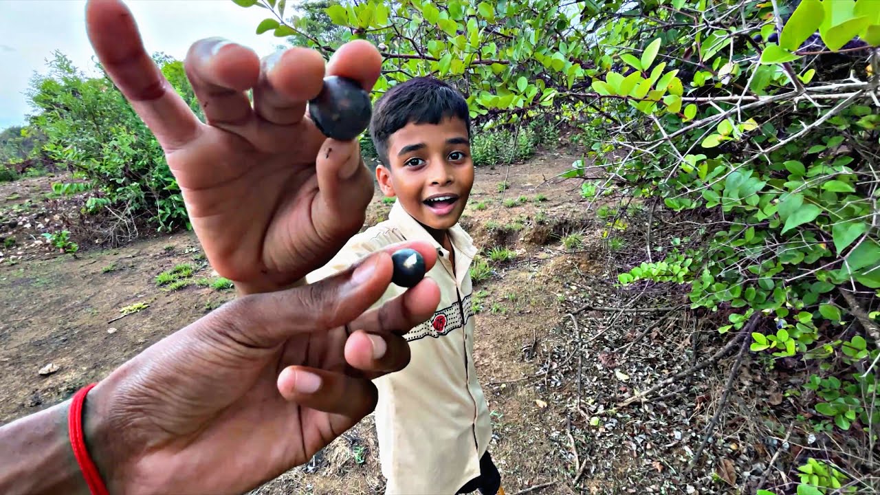 Jay aani me ya varshatil shevatchi karvand kadhayla aalo 😋