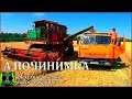 Началось в колхозе утро 3/47. Уборка ячменя возле тока.